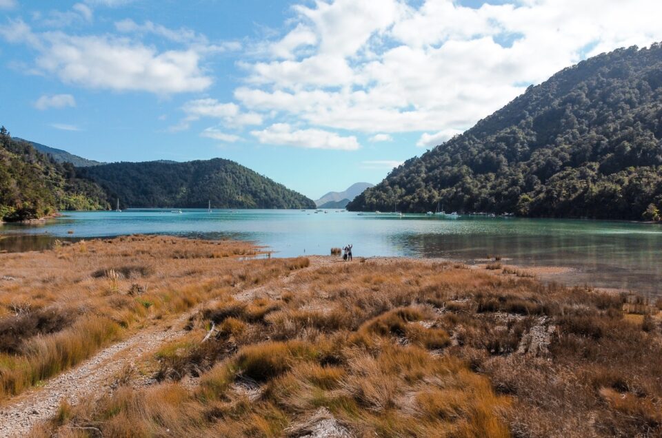 North Island vs South Island – Which Is Better for Your New Zealand Trip?